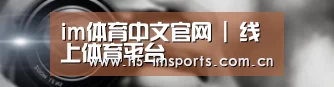 公司动态