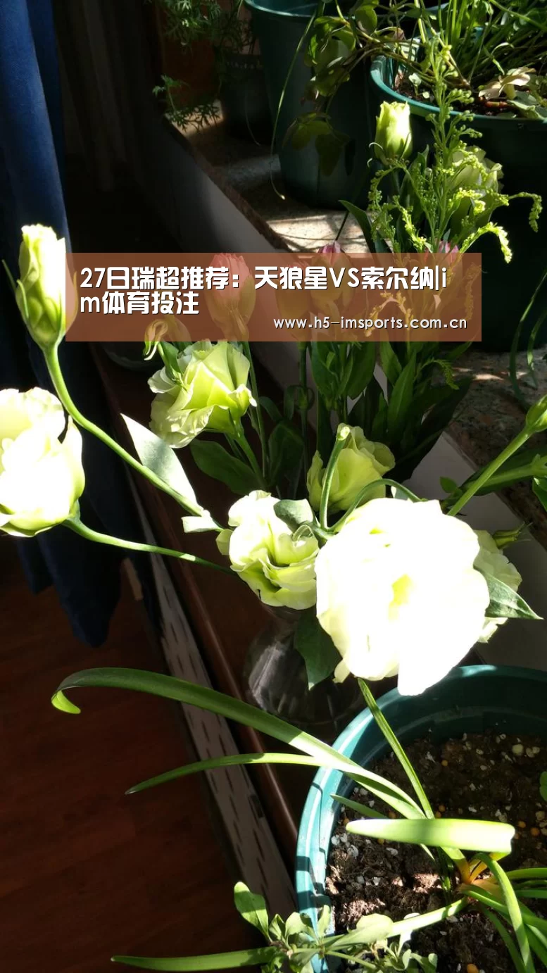 27日瑞超推荐:天狼星VS索尔纳|im体育投注(图2) im体育部门
