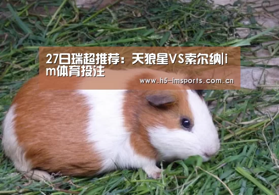 27日瑞超推荐:天狼星VS索尔纳|im体育投注(图4) im体育官网