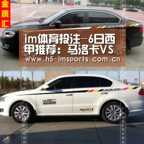 im体育官网