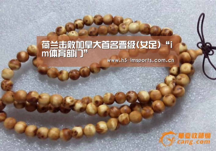 荷兰击败加拿大首名晋级(女足)“im体育部门”(图3) im体育投注