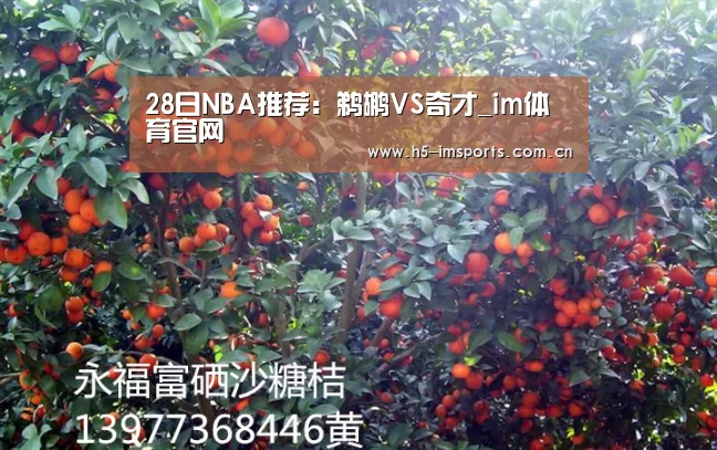im体育投注