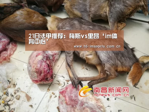 im体育官网