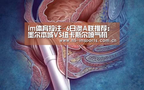 im体育部门