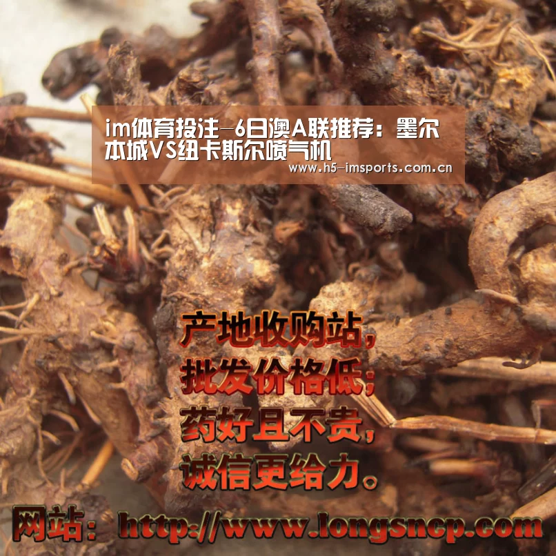im体育投注