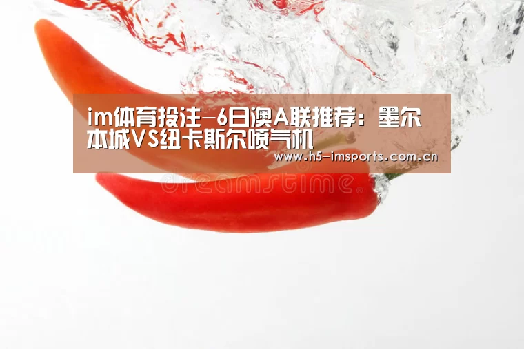 im体育投注