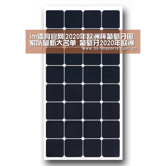 im体育官网|2020年欧洲杯葡萄牙国家队最新大名单_葡萄牙2020年欧洲杯首发大名单(图2) im体育官网